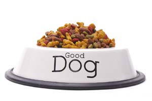 Good Dog Food Bowl