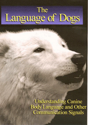 Sarah Kalnajs The Language of Dogs
