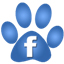 Urban Dog Training on Facebook