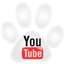Urban Dog Training on YouTube